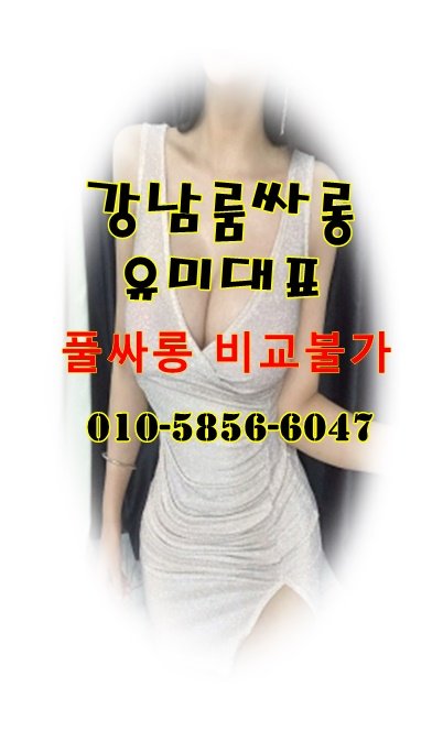강남두바이 시스템